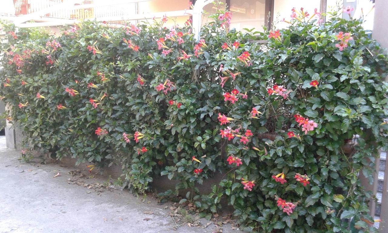 Eurelios Bed & Breakfast Adrano Bagian luar foto